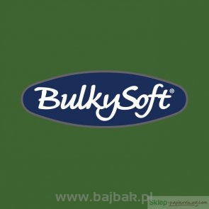 BulkySoft Serwetki 24x24, 2 warstwy 100 sztuk zielone