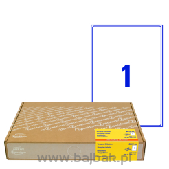 Etykiety wysyłkowe Avery Zweckform 300 arkuszy w opakowaniu 199,6x289,1 mm